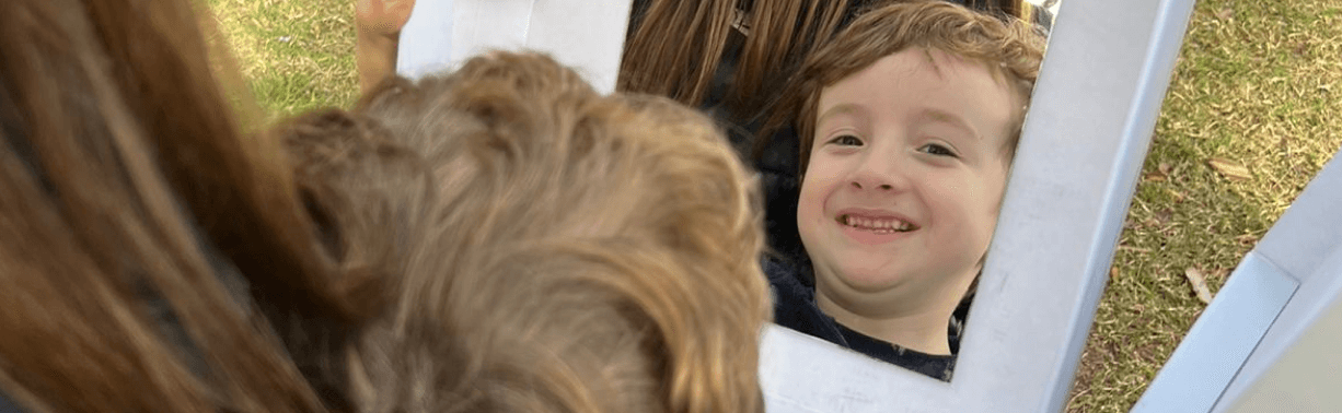 PROYECTOS PEEAVAS (1)