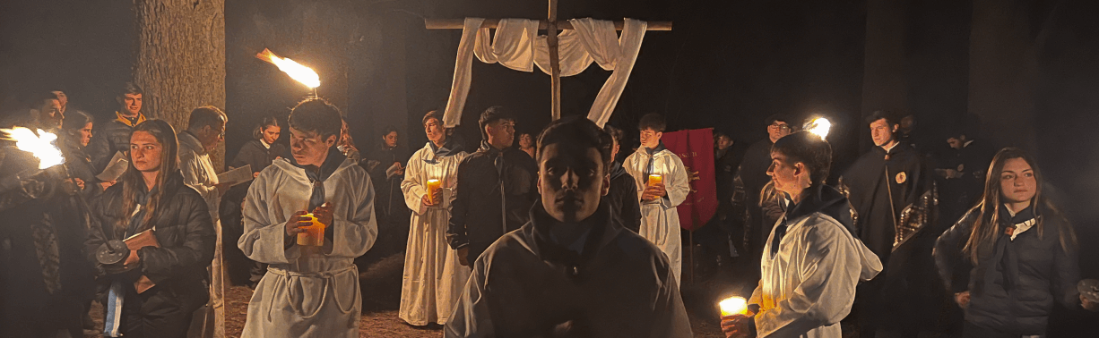 PROYECTOS Proyecto Virtus (1)