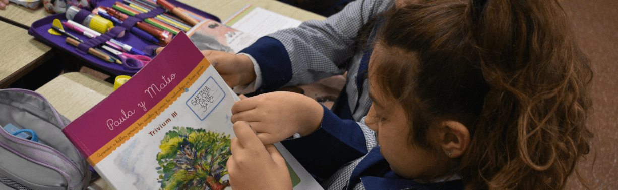 PROYECTOS Trivium (1)